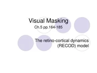 Visual Masking Ch.5 pp.164-185