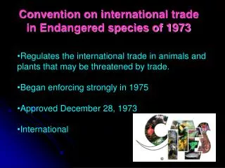 Convention on international trade in Endangered species of 1973