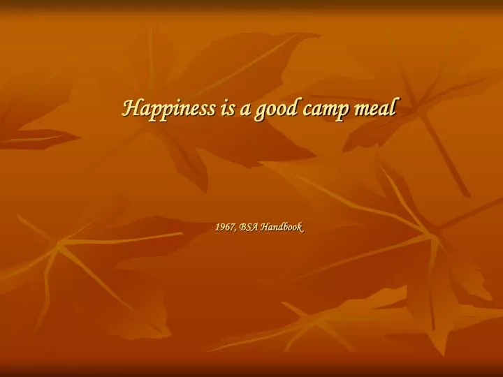 happiness is a good camp meal 1967 bsa handbook