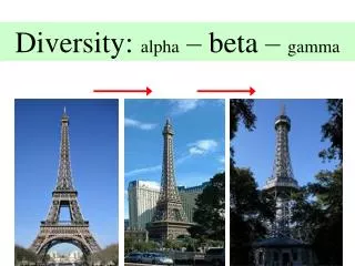 Diversity: alpha – beta – gamma