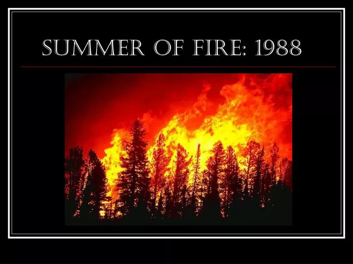 summer of fire 1988