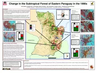 Change in the Subtropical Forest of Eastern Paraguay in the 1990s