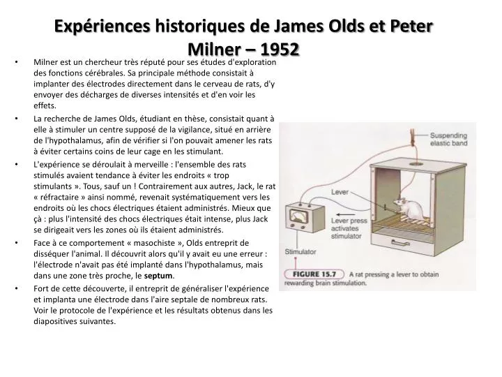 exp riences historiques de james olds et peter milner 1952