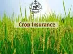 Crop Insurance - slide 1