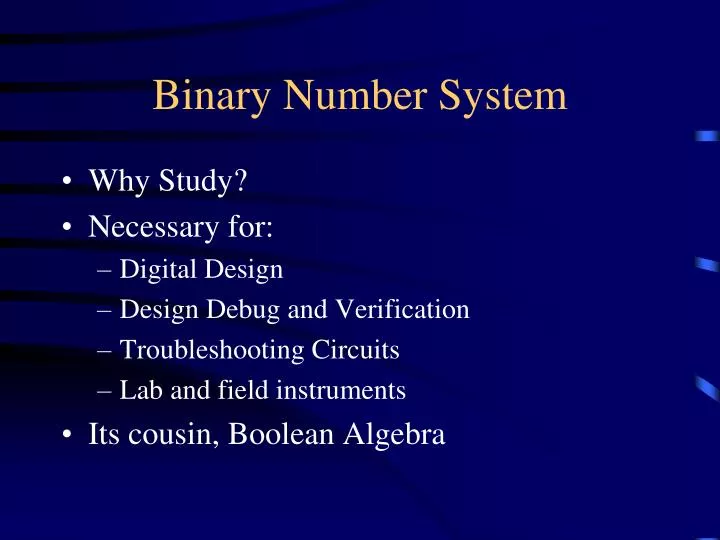 binary number system