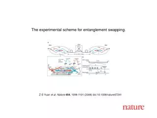 Z-S Yuan et al. Nature 454 , 1 098 -1 101 (2008) doi:10.1038/nature07 241