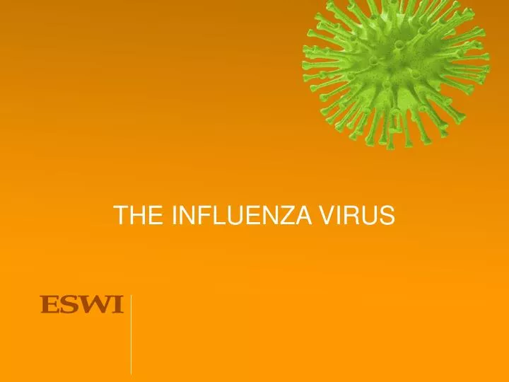 the influenza virus