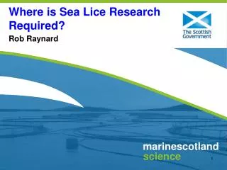Where is Sea Lice Research Required?