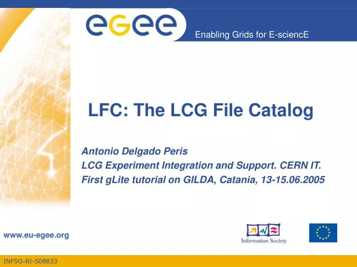 lfc the lcg file catalog