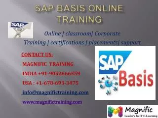 SAP BASIS ONLINE TRAINING IN SOUTH AFRICA