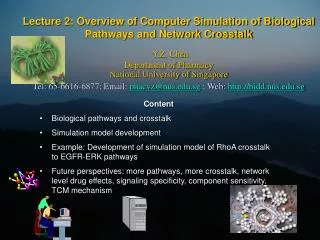 Content Biological pathways and crosstalk Simulation model development