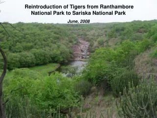 Reintroduction of Tigers from Ranthambore National Park to Sariska National Park June, 2008