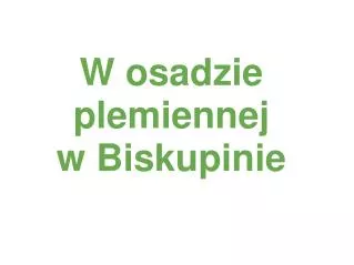w osadzie plemiennej w biskupinie