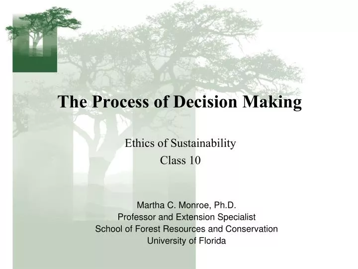 the process of decision making