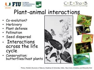 Plant-animal interactions