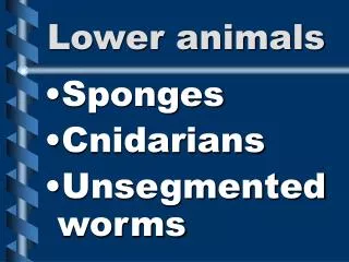 Lower animals
