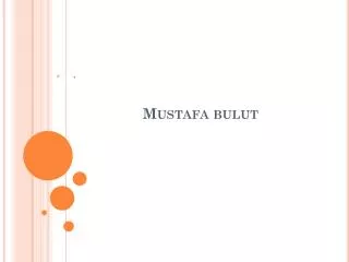 mustafa bulut