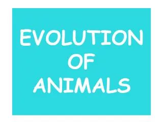 EVOLUTION OF ANIMALS