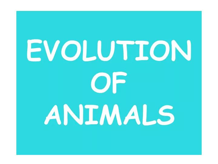 evolution of animals