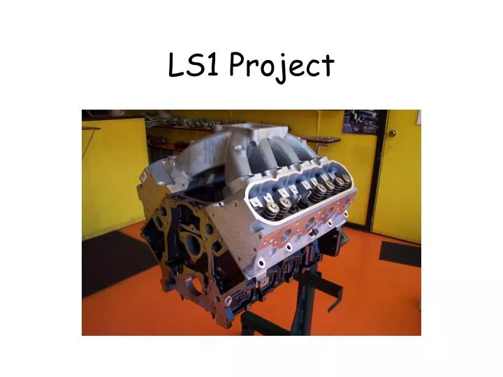 ls1 project