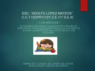 esc adolfo lopez mateos c c t 15dpr1172y z e 117 s e xi