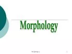 Morphology - slide 1