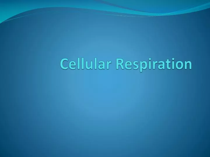 cellular respiration