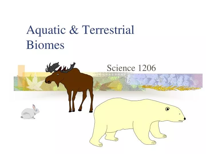 aquatic terrestrial biomes