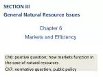 Market Efficiency and Externalities Analysis - slide 1