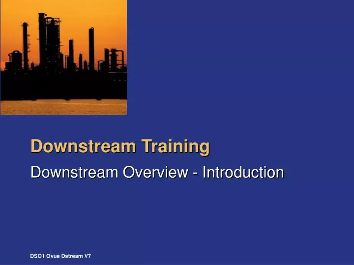 downstream training