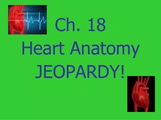 Ch. 18 Heart Anatomy JEOPARDY!