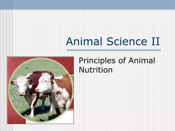 animal science ii