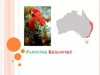 papou ek kr lovsk