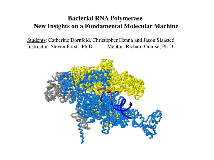 bacterial rna polymerase new insights on a fundamental molecular machine