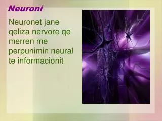 neuroni