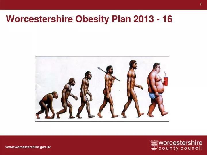worcestershire obesity plan 2013 16