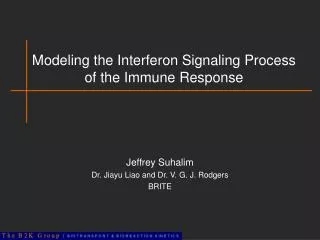 Modeling the Interferon Signaling Process of the Immune Response
