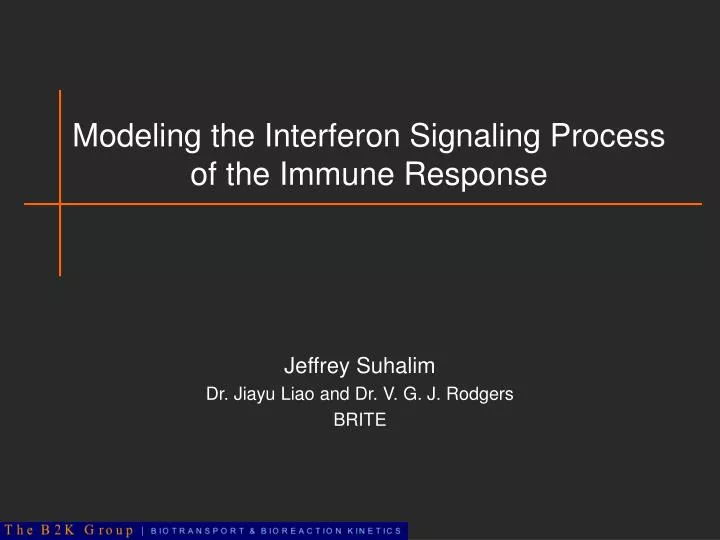 modeling the interferon signaling process of the immune response
