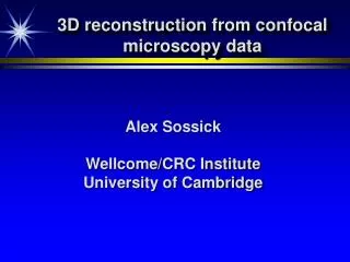 3D reconstruction from confocal microscopy data