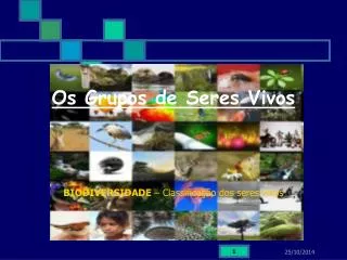 os grupos de seres vivos