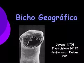 bicho geogr fico