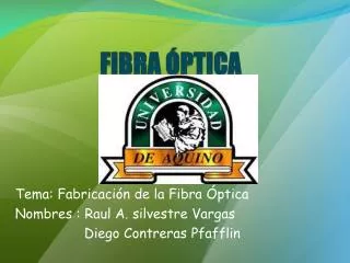fibra ptica