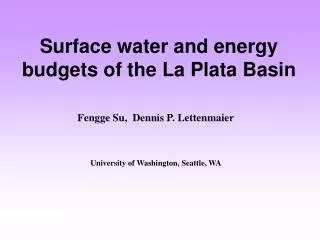 Surface water and energy budgets of the La Plata Basin