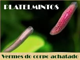 platelmintos