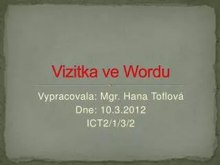 vizitka ve wordu