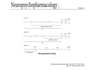 Neuropsychopharmacology (2012) 37, 1305-1320; doi:10.1038/npp.2011.319