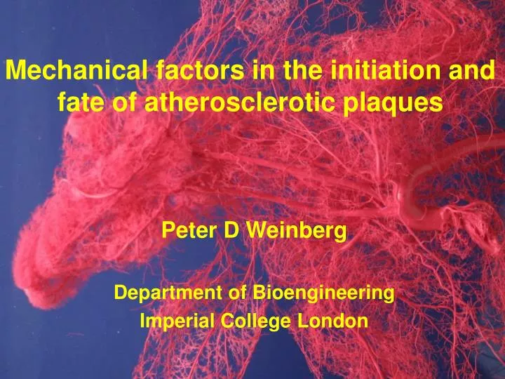 mechanical factors in the initiation and fate of atherosclerotic plaques