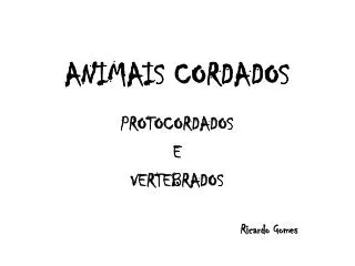 animais cordados