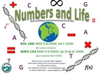 Numbers and Life