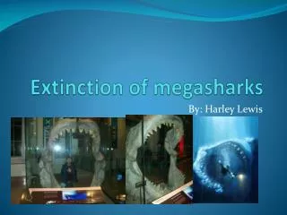 Extinction of megasharks